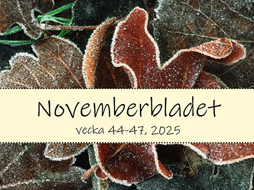 Läs mer här