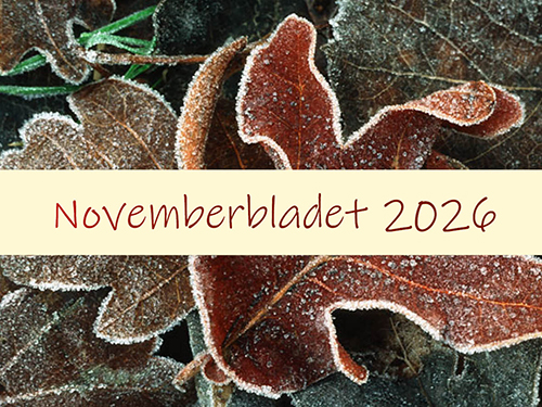 Läs mer här