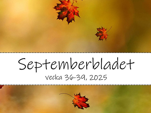 Läs mer här